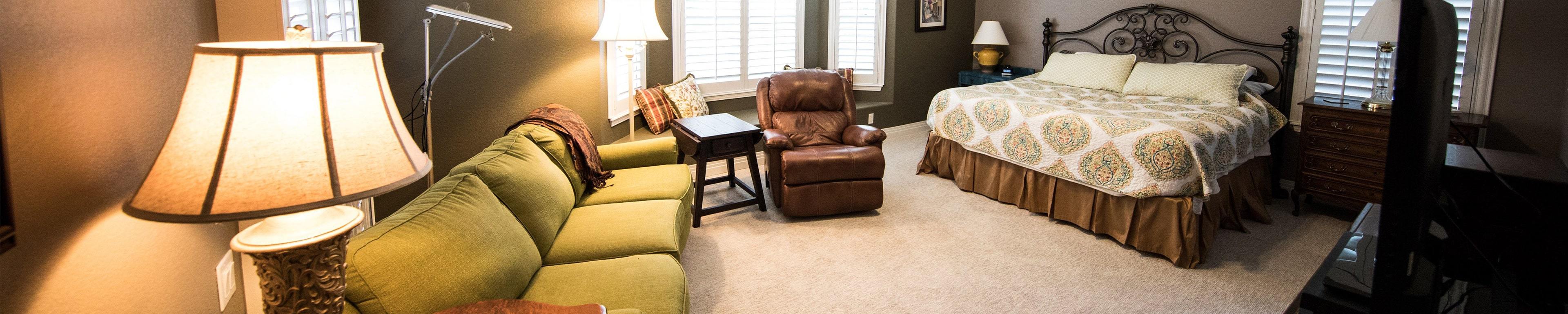 Evolution Deep Clean; Carpet, Tile, and More