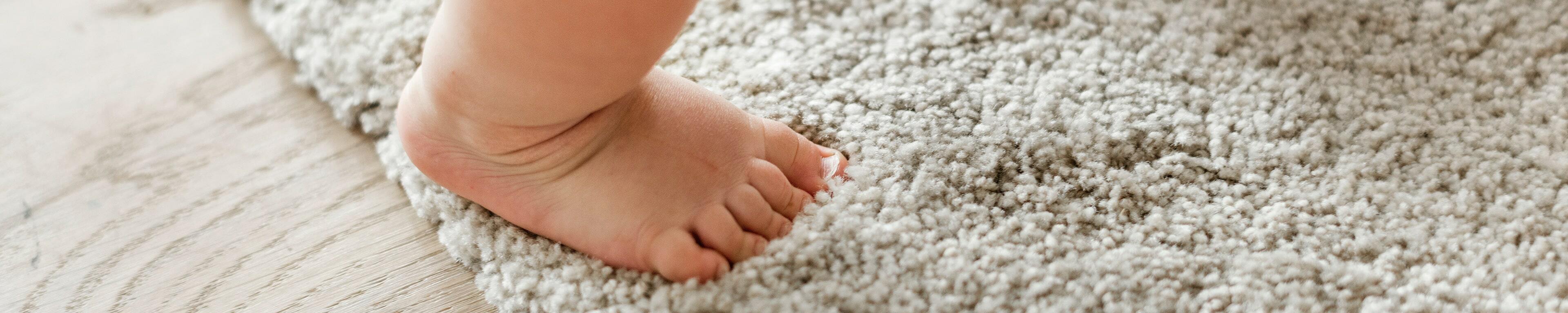 Daly Carpet Cleaning Inc.